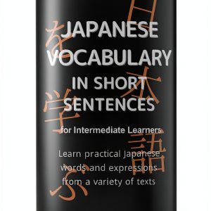 Japanese Vocabulary Kindle eBook by Amazon-0