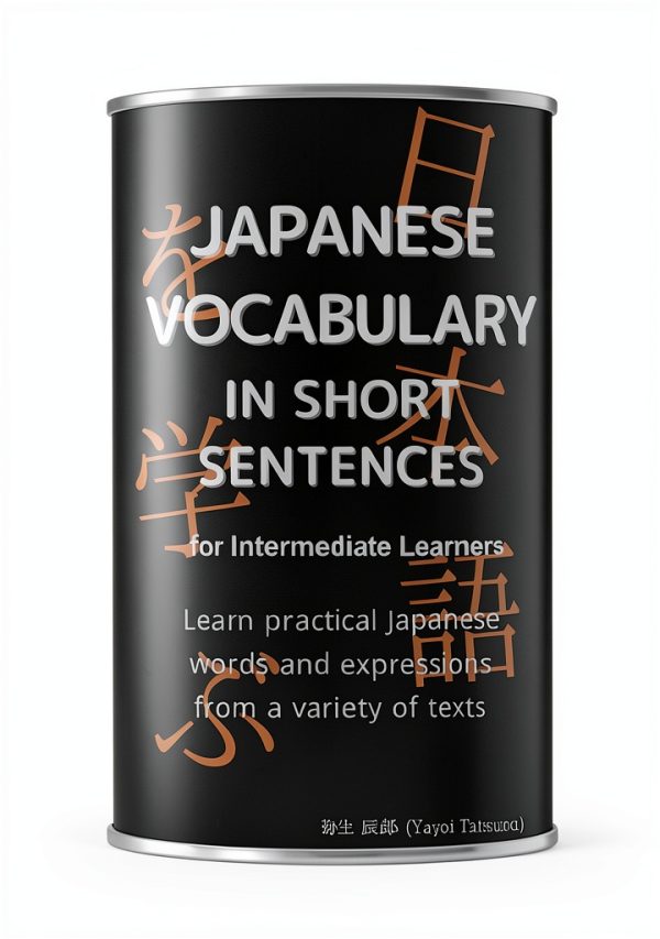 Japanese Vocabulary Kindle eBook by Amazon-0