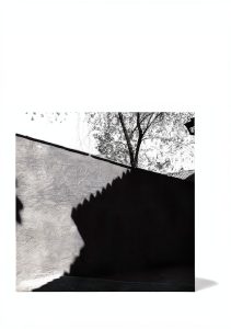Literary Criticism Kindle eBook Chicago Press-0