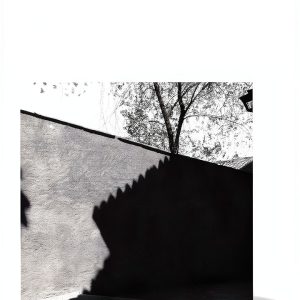 Literary Criticism Kindle eBook Chicago Press-0