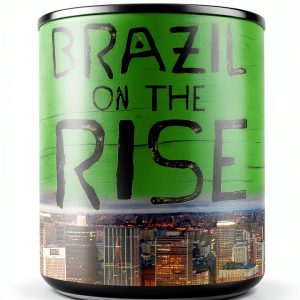 Brazil History Kindle eBook St Martin's Press-0