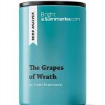 BrightSummaries.com Kindle Book Summary-0