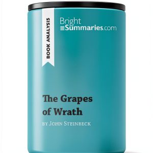 BrightSummaries.com Kindle Book Summary-0