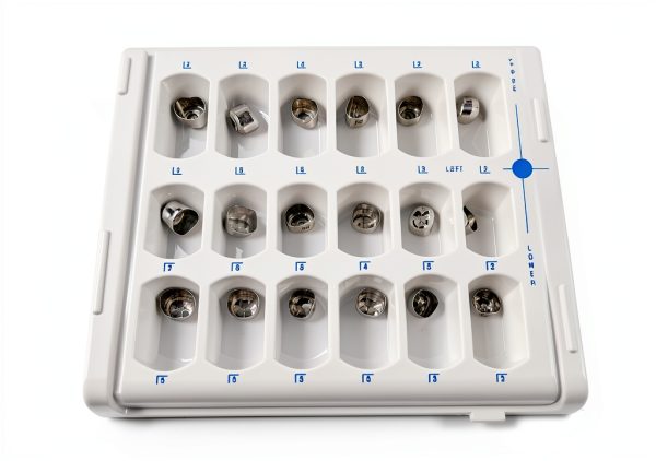 For Adult 24SizeX2=48Pcs Dental Molar Crown Stainless Steel Crowns Protect Adult Teeth-5