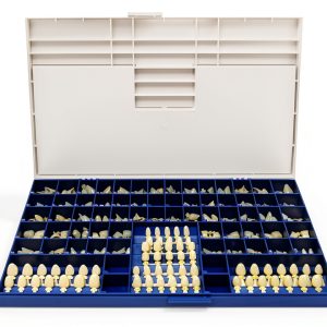 Dental Polycarbonate Temporary Crowns Kit of 180-0