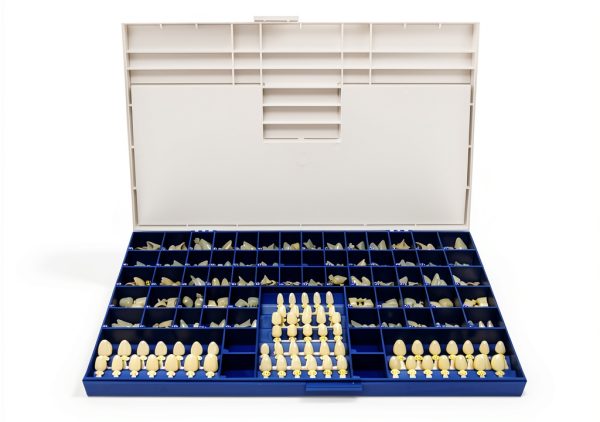 Dental Polycarbonate Temporary Crowns Kit of 180-0
