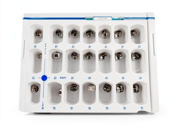 For Adult 24SizeX2=48Pcs Dental Molar Crown Stainless Steel Crowns Protect Adult Teeth-4
